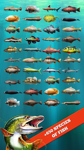 Let's Fish: Sport Fishing Game - screenshot 4