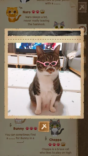 Secret Cat Forest APK 2.0.74 (Latest) for Android - screenshot 6