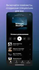 YouTube Music ReVanced - screenshot 4