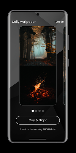 Pro Launcher - screenshot 4