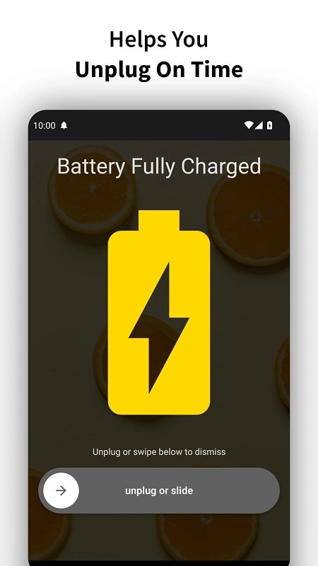 Full Battery Charge Alarm - screenshot 2