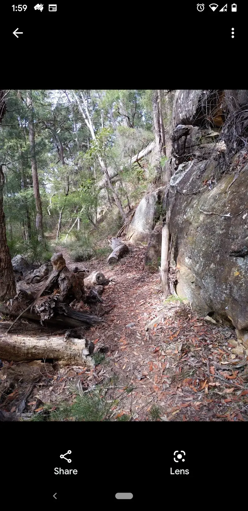 Custom Data Recorder - screenshot 3