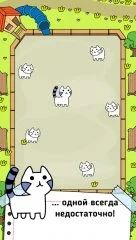 Cat Evolution - screenshot 1