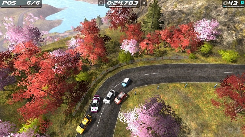 Rush Rally Origins - screenshot 3