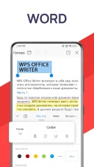 WPS Office - screenshot 2