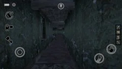 Granny's Mansion - screenshot 4