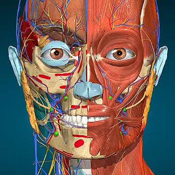 Anatomy Learning - 3D Anatomy Atlas - app icon