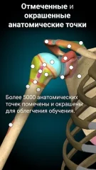 Anatomy Learning - 3D Anatomy Atlas - screenshot 2