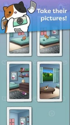 Catchu Cat Collector - screenshot 3