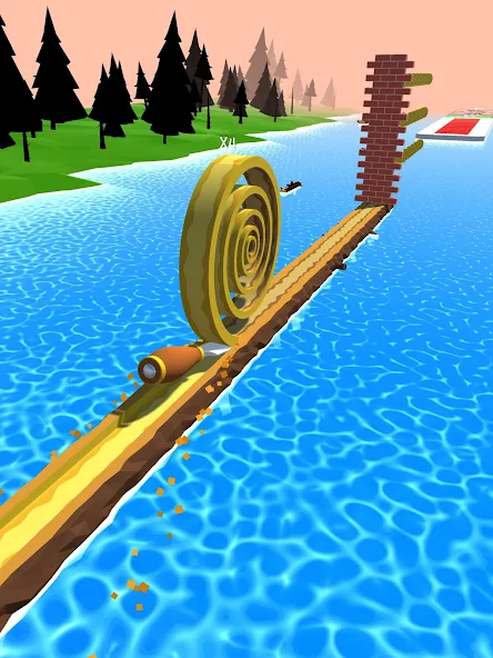 Spiral Roll - screenshot 8