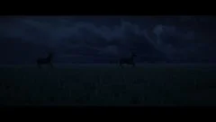 CONVOLUTION - screenshot 3