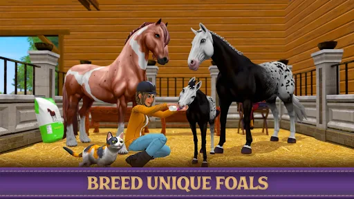Star Equestrian APK 638 (Full Game) for Android - screenshot 1