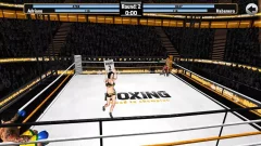 Boxing - Road To Champion - screenshot 2