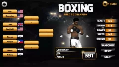 Boxing - Road To Champion - screenshot 3
