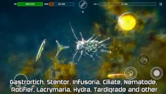 Bionix - Spore & Bacteria Evolution Simulator 3D - screenshot 2
