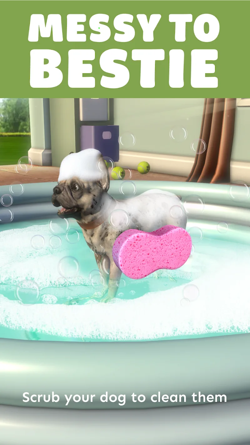 Pocket Paws - screenshot 5