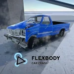 Flexbody Car Crash - app icon
