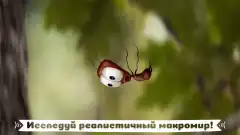 AntVentor - screenshot 3