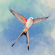 Wingspan: The Board Game MOD APK icon