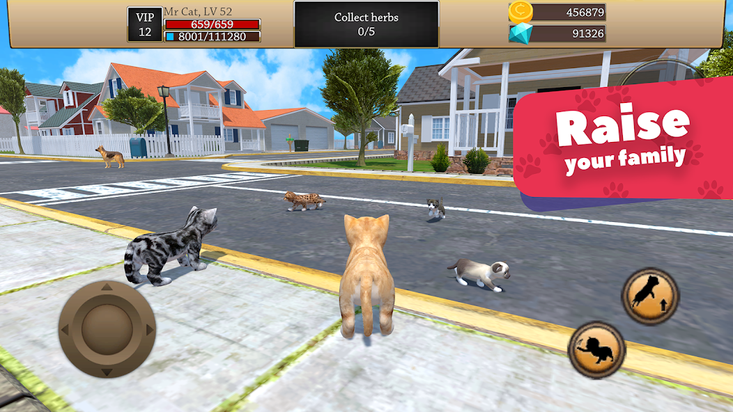Cat Simulator - Animal Life - screenshot 17