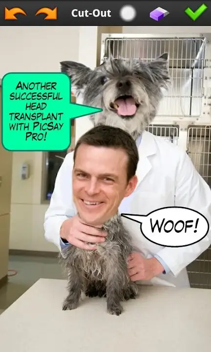 PicSay Pro - screenshot 3