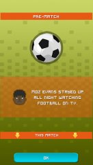 Village Cricket - screenshot 2