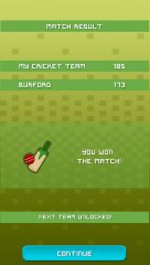 Village Cricket - screenshot 4