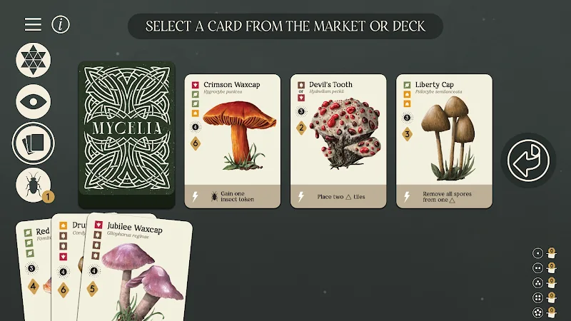 Mycelia The Board Game - screenshot 1