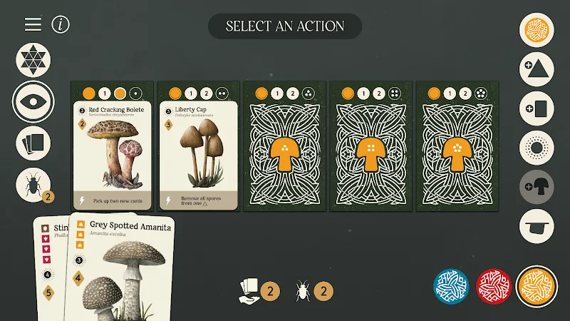 Mycelia The Board Game - screenshot 5