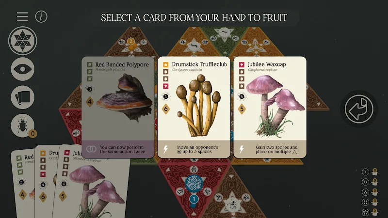 Mycelia The Board Game - screenshot 6