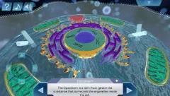 Cell World - screenshot 1