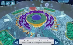Cell World - screenshot 3