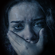 Maid of Sker - app icon