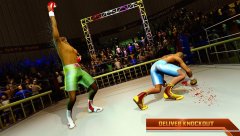 Ninja Punch Boxing Fighter Kung Fu Combat World - screenshot 4