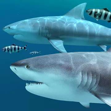 Sharks 3D - Live Wallpaper MOD APK icon