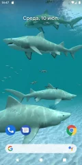 Sharks 3D - Live Wallpaper - screenshot 1
