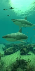 Sharks 3D - Live Wallpaper - screenshot 2