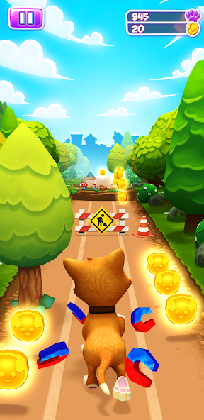 Pet Run - Puppy Dog Game - screenshot 7