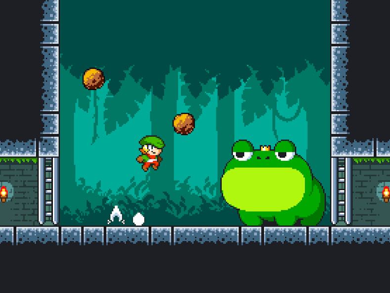 Tiny Dangerous Dungeons Remake - screenshot 9