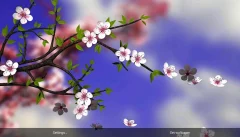 Spring Flowers 3D Parallax Pro - screenshot 1