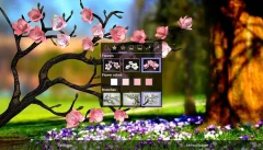 Spring Flowers 3D Parallax Pro - screenshot 2