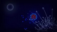 Microcosmum: survival of cells - screenshot 4