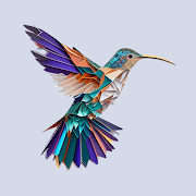 VPN HBird - app icon