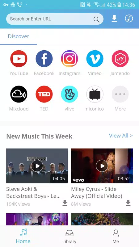 Doremi Music downloader - screenshot 4