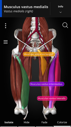 Anatomyka - screenshot 2