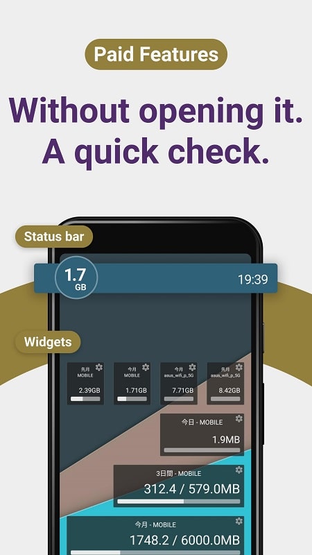 Data Usage Monitor APK - screenshot 5