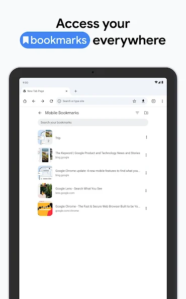 Google Chrome: Fast & Secure - screenshot 16