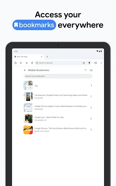 Google Chrome: Fast & Secure - screenshot 24
