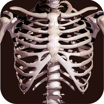 Osseous System in 3D - app icon
