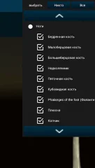 Osseous System in 3D - screenshot 3